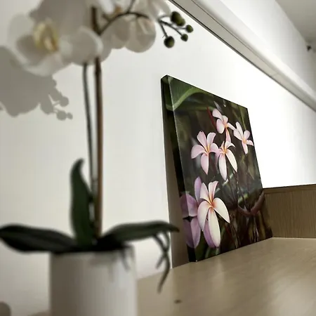 At Mogliano A Casa Ma In Apartment