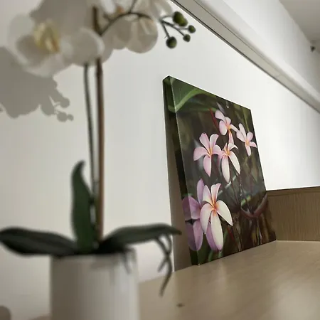 Apartment At Mogliano A Casa Ma In Mogliano Veneto