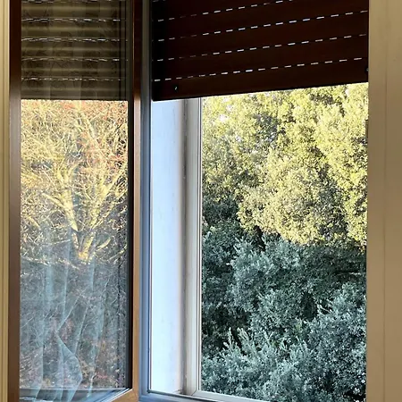 At Mogliano A Casa Ma In *